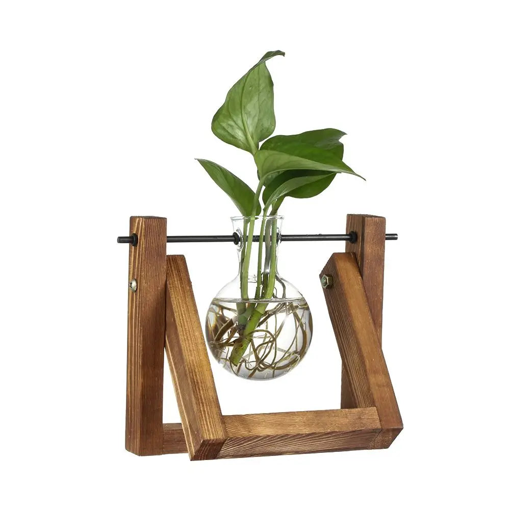 Vintage Hydroponic Plant Vases