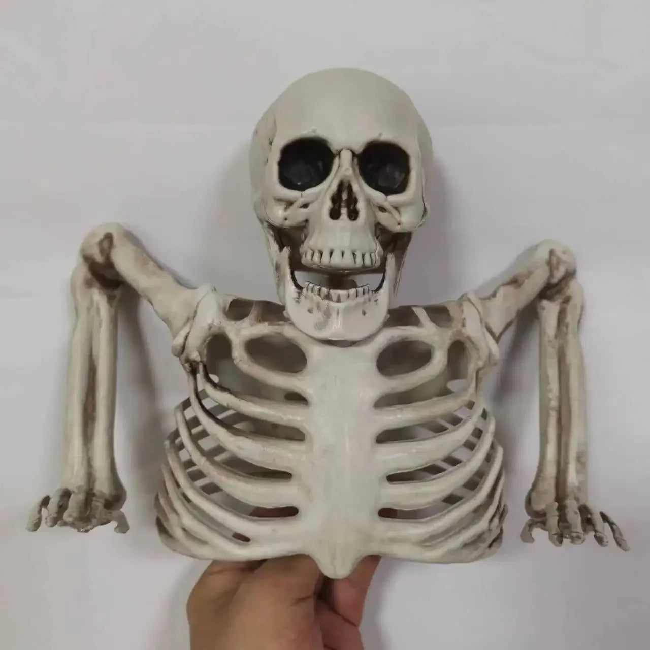 Halloween Scary Glowing Skull Skeleton Decoration