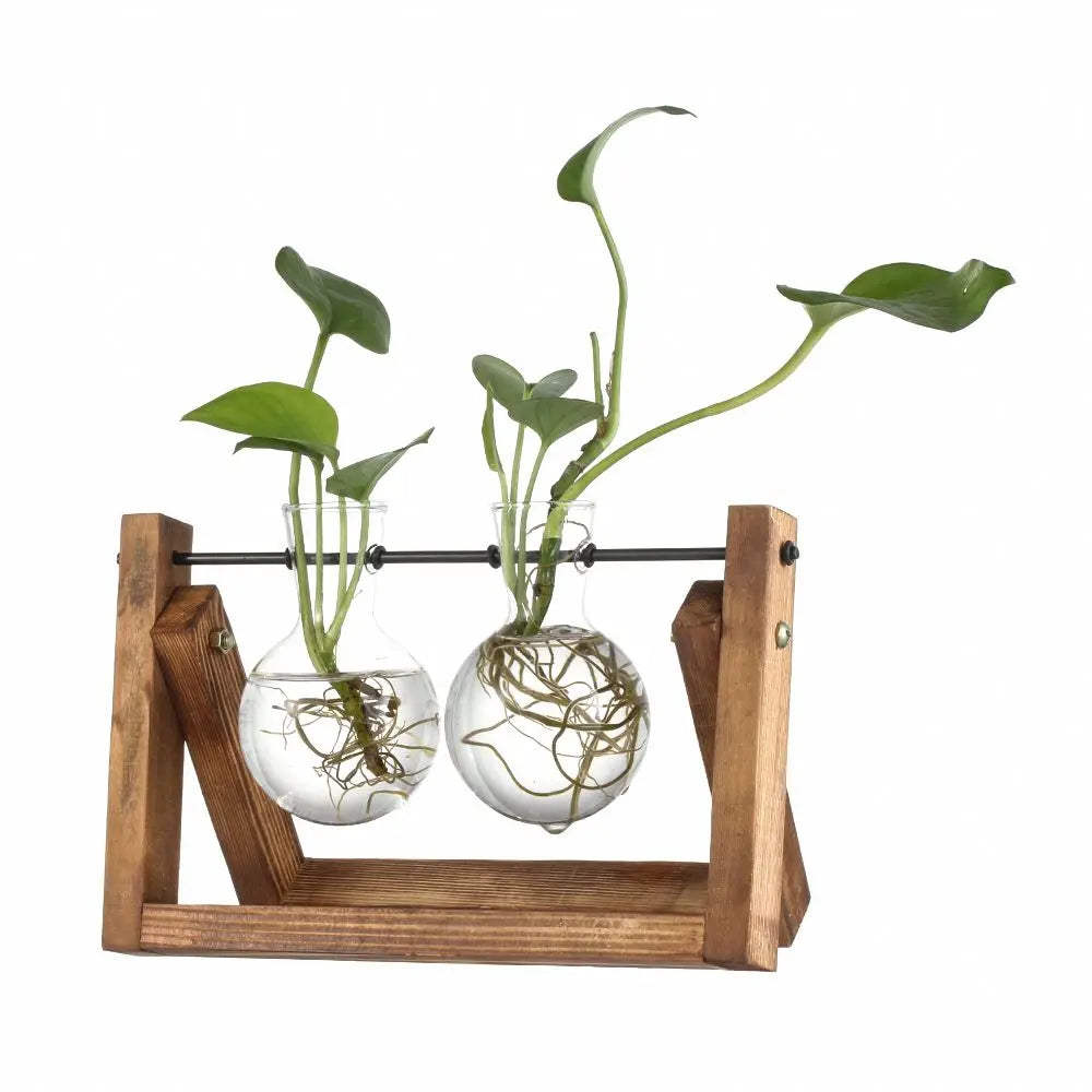Vintage Hydroponic Plant Vases