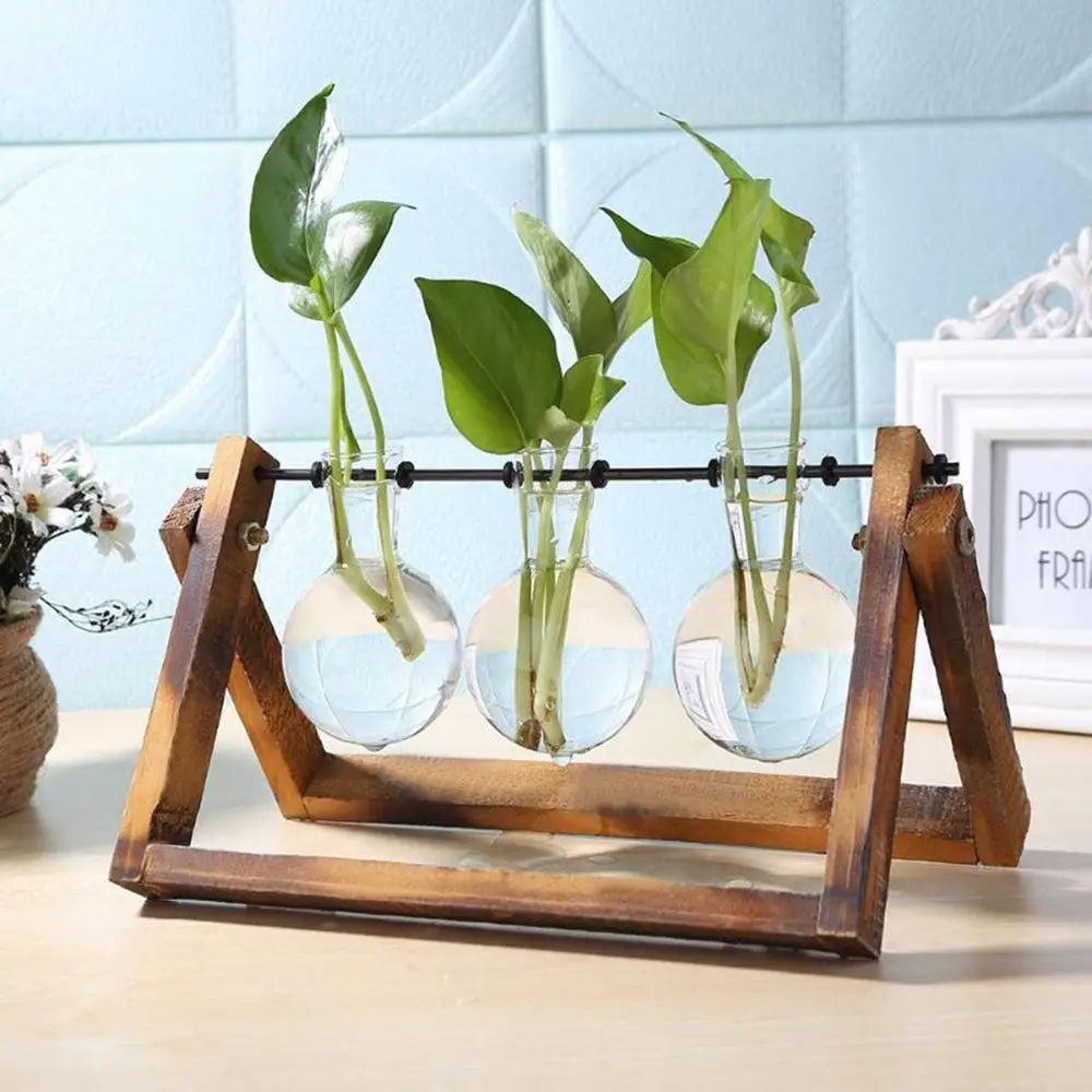 Vintage Hydroponic Plant Vases