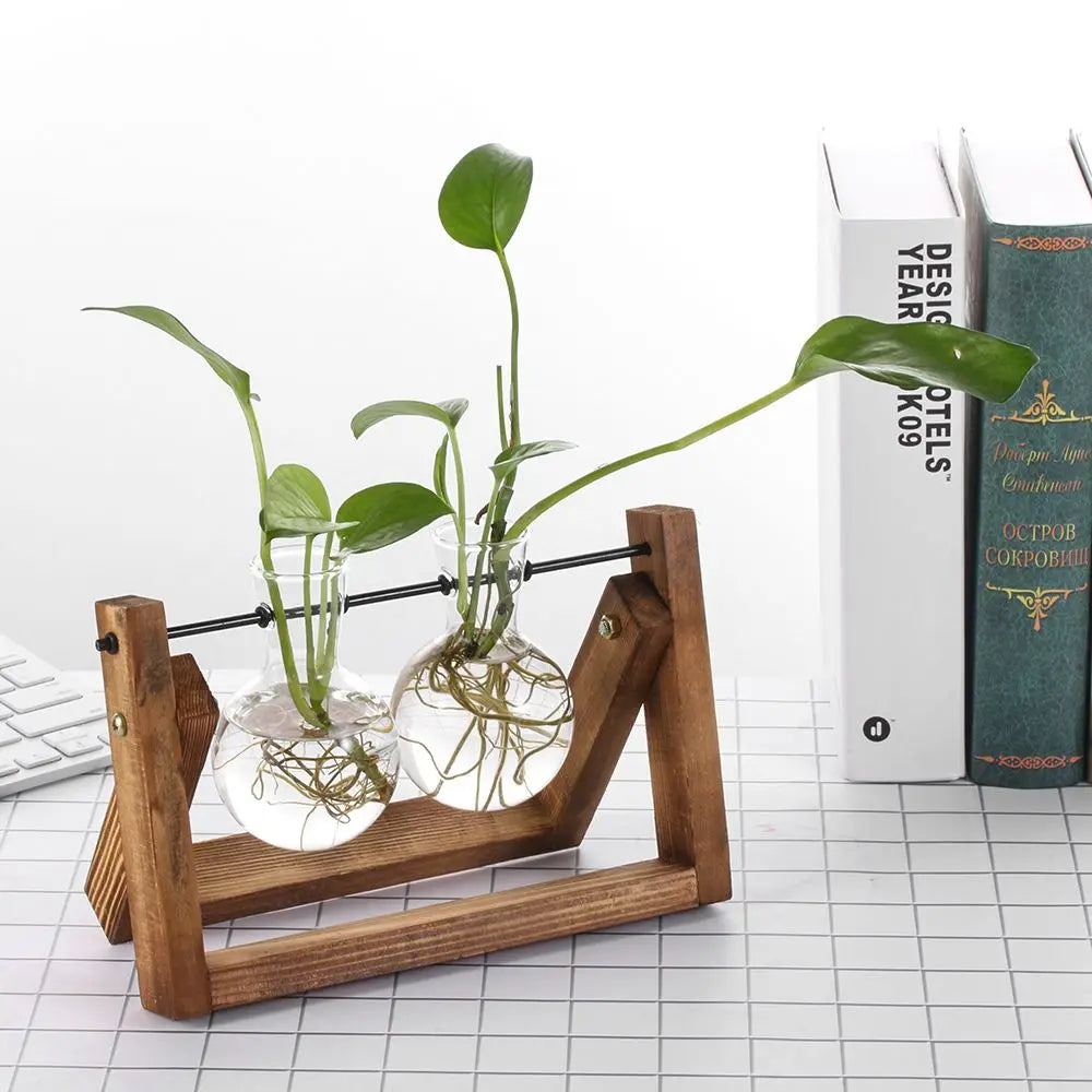 Vintage Hydroponic Plant Vases