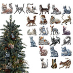 Cat Christmas 24 Days Christmas Advent Calendar